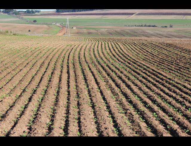 110HA FARM FOR SALE IN MALMESBURY RURAL